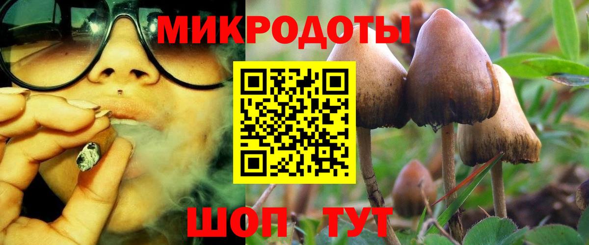 Галлюциногенные грибы Psilocybe  Симферополь 